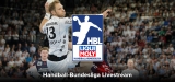 Handball-Bundesliga im Livestream [Guide 2023]