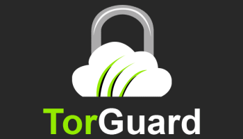 Torguard VPN, Rezension 2024