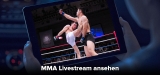 MMA gucken: So kannst du internationale Streams freischalten!